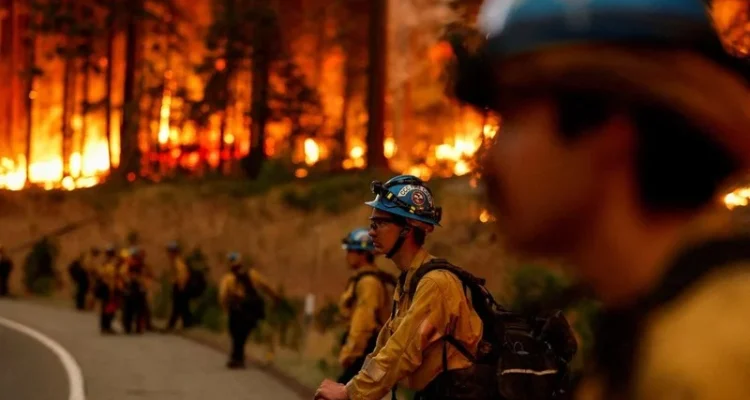 Kisah Como dan Upaya Melawan Kebakaran Hutan di California