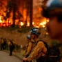 Kisah Como dan Upaya Melawan Kebakaran Hutan di California