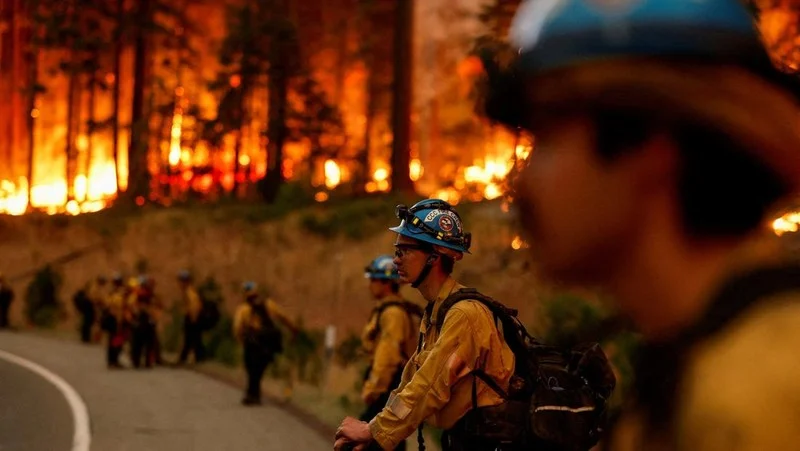 Kisah Como dan Upaya Melawan Kebakaran Hutan di California