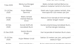 Kora: Fenomena Besar di Berbagai Bidang