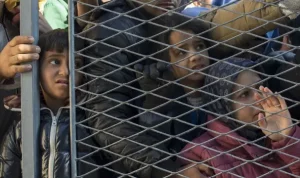 Krisis Imigran di Ceuta: Antara Kebenaran dan Desinformasi