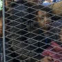 Krisis Imigran di Ceuta: Antara Kebenaran dan Desinformasi