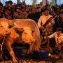 Malam 1 Suro 2026: Antara Tradisi dan Fenomena Alam