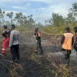 Mamuju Menghadapi Tantangan: Dari Kebakaran Hutan hingga Perbaikan Saluran Air