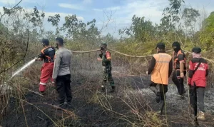 Mamuju Menghadapi Tantangan: Dari Kebakaran Hutan hingga Perbaikan Saluran Air