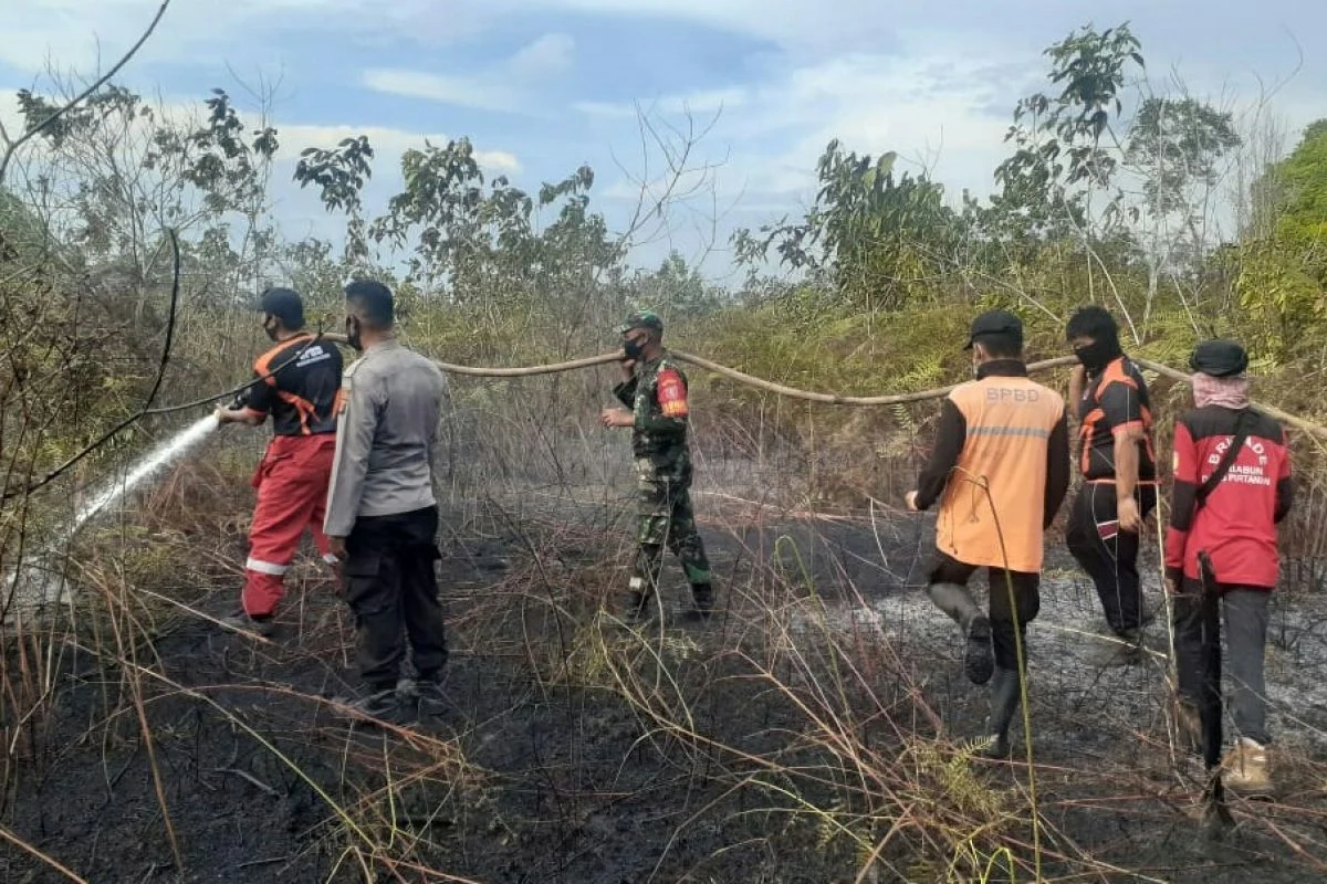 Mamuju Menghadapi Tantangan: Dari Kebakaran Hutan hingga Perbaikan Saluran Air