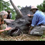 Mengenang Sam Neill: Aktor Jurassic Park yang Meninggalkan Warisan di Dunia Film