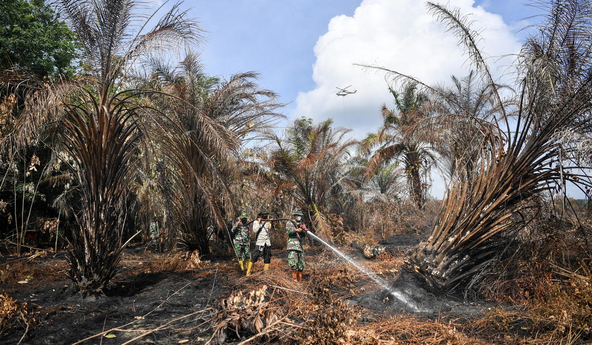 Musim Kemarau Melanda Indonesia, 509 ZOM Masuk Musim Kering dan Potensi Kebakaran Hutan Meningkat