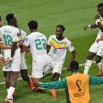 Pertandingan Sengit di Piala Dunia: Belgia vs Senegal dan Kontroversi Rasisme
