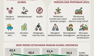 Proyek Strategis Nasional: Meningkatkan Konektivitas dan Ketahanan Pangan Indonesia