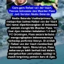 Rafael van der Vaart Menjadi Sorotan Setelah Kritiknya Terhadap Belanda