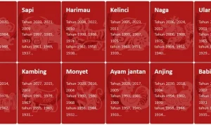 Ramalan Shio 30-31 Juli 2026: Waktu yang Tepat untuk Mengakhiri Masa Sulit dan Menyambut Keberuntungan