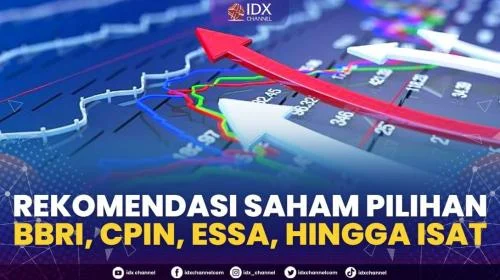 Saham BBRI dan Rekomendasi Saham Lainnya di Tengah Fluktuasi IHSG