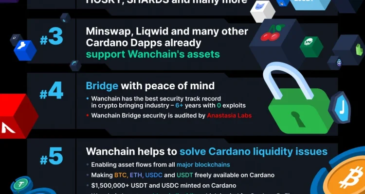 Serangan Hacker Mengincar Jembatan Wanchain Cardano, Kerugian Mencapai $13 Juta