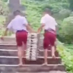 Siswa SD di Nias Selatan Angkat Omprengan MBG Lewati Jalan Curam, Ini Respons Kepala BGN Sumut