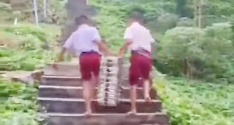 Siswa SD di Nias Selatan Angkat Omprengan MBG Lewati Jalan Curam, Ini Respons Kepala BGN Sumut