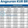 Tabel Pinjaman KUR BRI Juli 2026: Cara Daftar dan Besaran Cicilan Bulanan