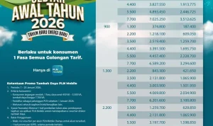 Tahun Ajaran Baru dan Hari Anak Nasional, PLN Beri Diskon Tambah Daya Sampai 50 Persen