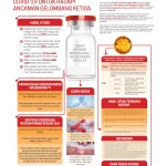 Terobosan Baru dalam Pengobatan Psikedelik dan Kontroversi di Baliknya