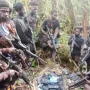TNI AU Terlibat Peredaran Narkoba dan Kasus Pembunuhan Pilot di Papua