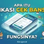 Aplikasi Cek Bansos: Panduan Lengkap untuk Masyarakat