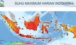 Cuaca Ekstrem di Indonesia: Dari Kebakaran Hutan hingga Panas yang Menghangatkan