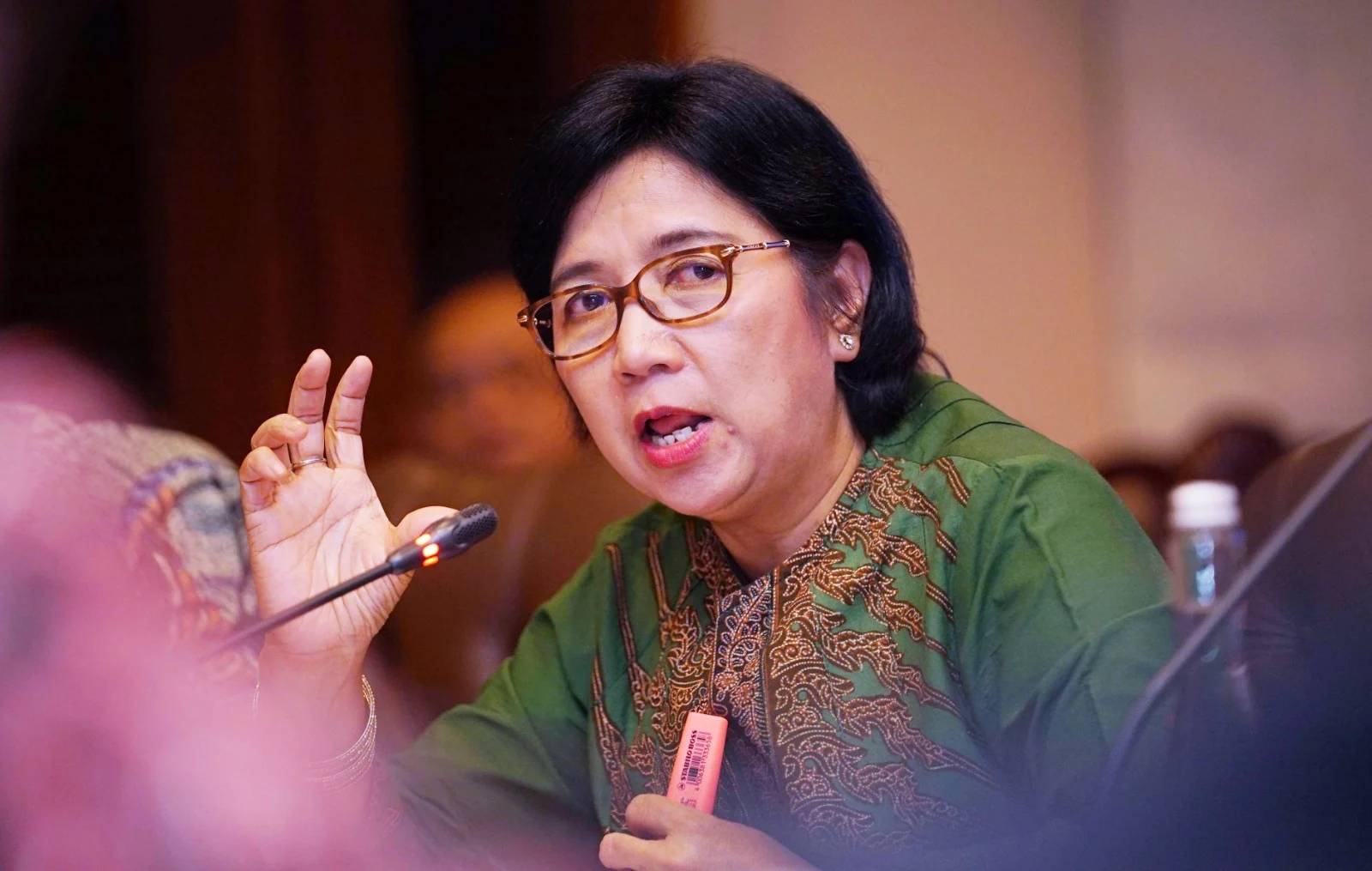 Destry Damayanti Dinominasikan sebagai Calon Tunggal Gubernur Bank Indonesia