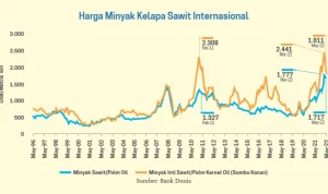 Dinamika Harga Minyak Sawit dan Nilai Tukar Rupiah Terhadap Dolar AS: Tantangan Ekonomi Indonesia
