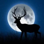 Fenomena Buck Moon: Zodiak yang Diprediksi Mendapatkan Hoki Besar dan Peristiwa Langit yang Mempesona