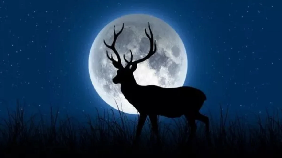 Fenomena Buck Moon: Zodiak yang Diprediksi Mendapatkan Hoki Besar dan Peristiwa Langit yang Mempesona