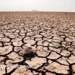 Fenomena Heat Dome: Ancaman Cuaca Ekstrem yang Menghangatkan Bumi