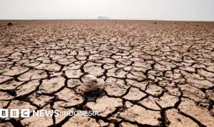 Fenomena Heat Dome: Ancaman Cuaca Ekstrem yang Menghangatkan Bumi