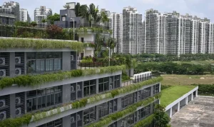 Forest City Malaysia: Dari Kota Impian Menjadi Sarang Penipu