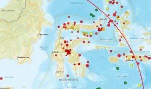 Gempa Bumi Magnitudo 7,7 Guncang NTT, Berdampak Hingga Sulawesi Selatan