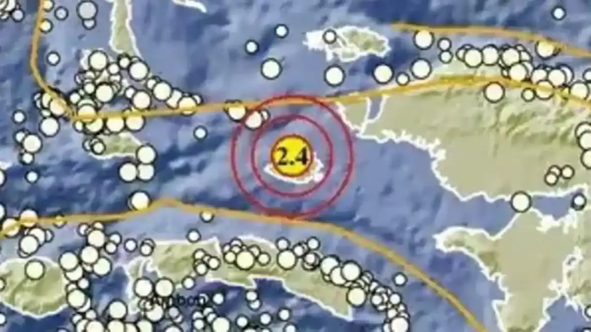 Gempa Bumi Melanda Berbagai Wilayah: Dari Seram Timur Hingga Italia