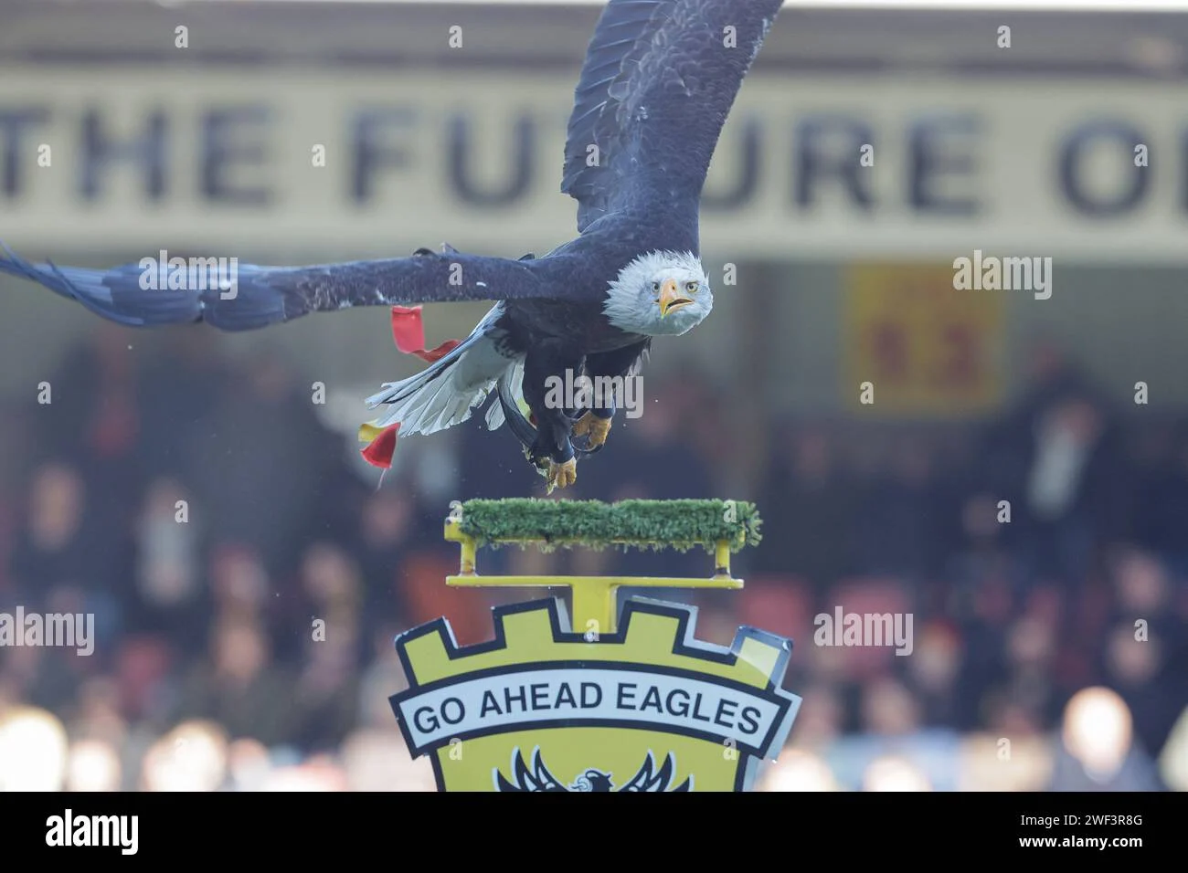 Go Ahead Eagles Mencuri Perhatian: Dari Insiden Parachutis hingga Kemenangan di Eredivisie