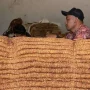 Gudang Garam Dorong Kenaikan Harga Jual Tembakau Rajangan Kering di Bojonegoro