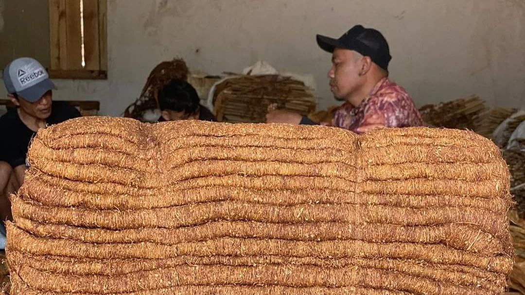 Gudang Garam Dorong Kenaikan Harga Jual Tembakau Rajangan Kering di Bojonegoro