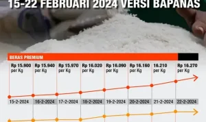 Harga Beras di Indonesia Mengalami Kenaikan, Pemerintah Salurkan Bantuan