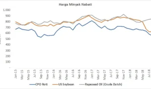 Harga Minyak Sawit dan Nilai Tukar Rupiah Terhadap Dolar AS: Dinamika Ekonomi Indonesia