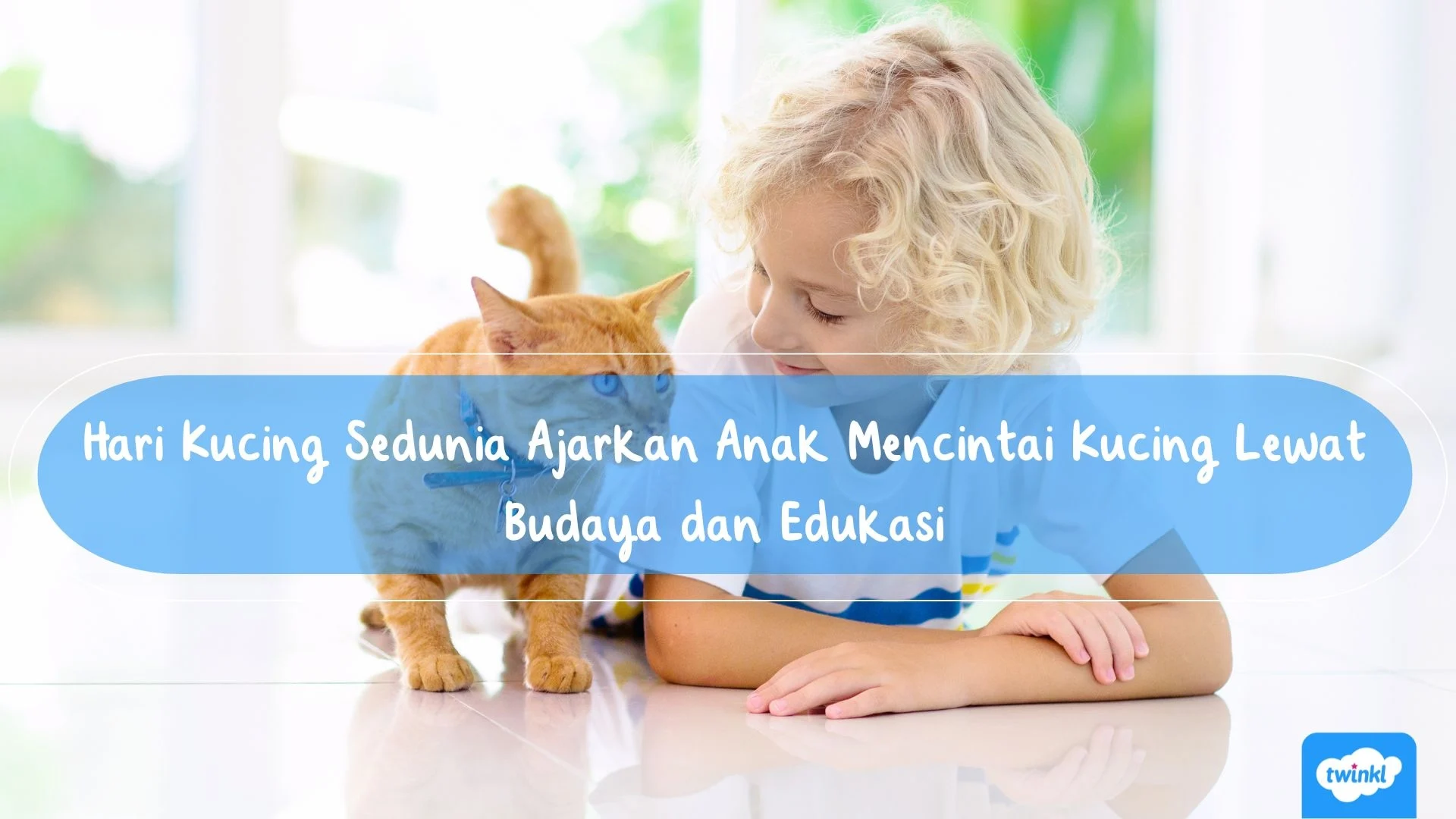 Hari Kucing Sedunia: Mengenal Lebih Dalam tentang Kucing dan Perannya dalam Kehidupan Manusia
