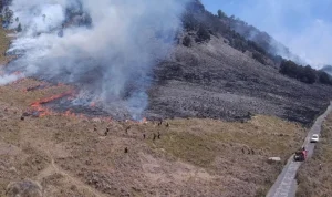Kebakaran Gunung Bromo: Pemerintah Berupaya Pemadaman Sambil Imbau Masyarakat Waspada