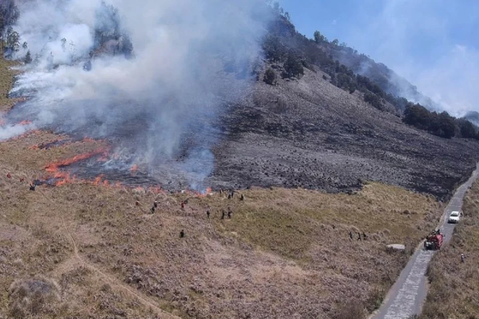 Kebakaran Gunung Bromo: Pemerintah Berupaya Pemadaman Sambil Imbau Masyarakat Waspada
