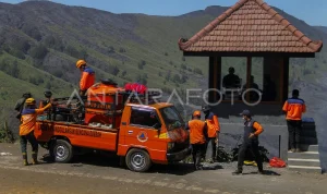 Kebakaran Gunung Bromo: Upaya Pemadaman dan Imbauan Kepada Masyarakat