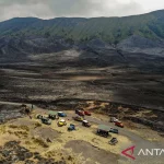 Kebakaran Gunung Bromo: Upaya Pemadaman Diperluas, 550 Hektar Lahan Terbakar
