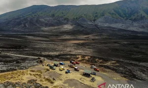 Kebakaran Gunung Bromo: Upaya Pemadaman Diperluas, 550 Hektar Lahan Terbakar