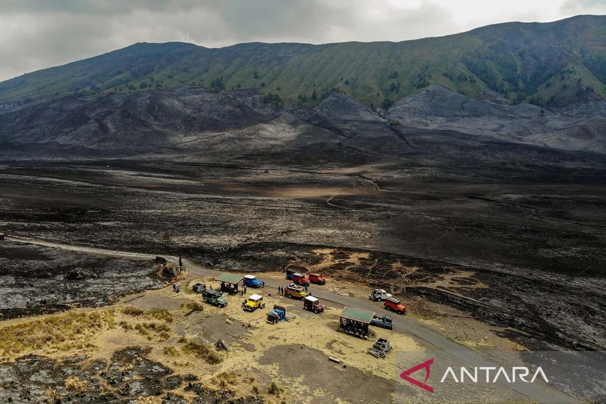 Kebakaran Gunung Bromo: Upaya Pemadaman Diperluas, 550 Hektar Lahan Terbakar