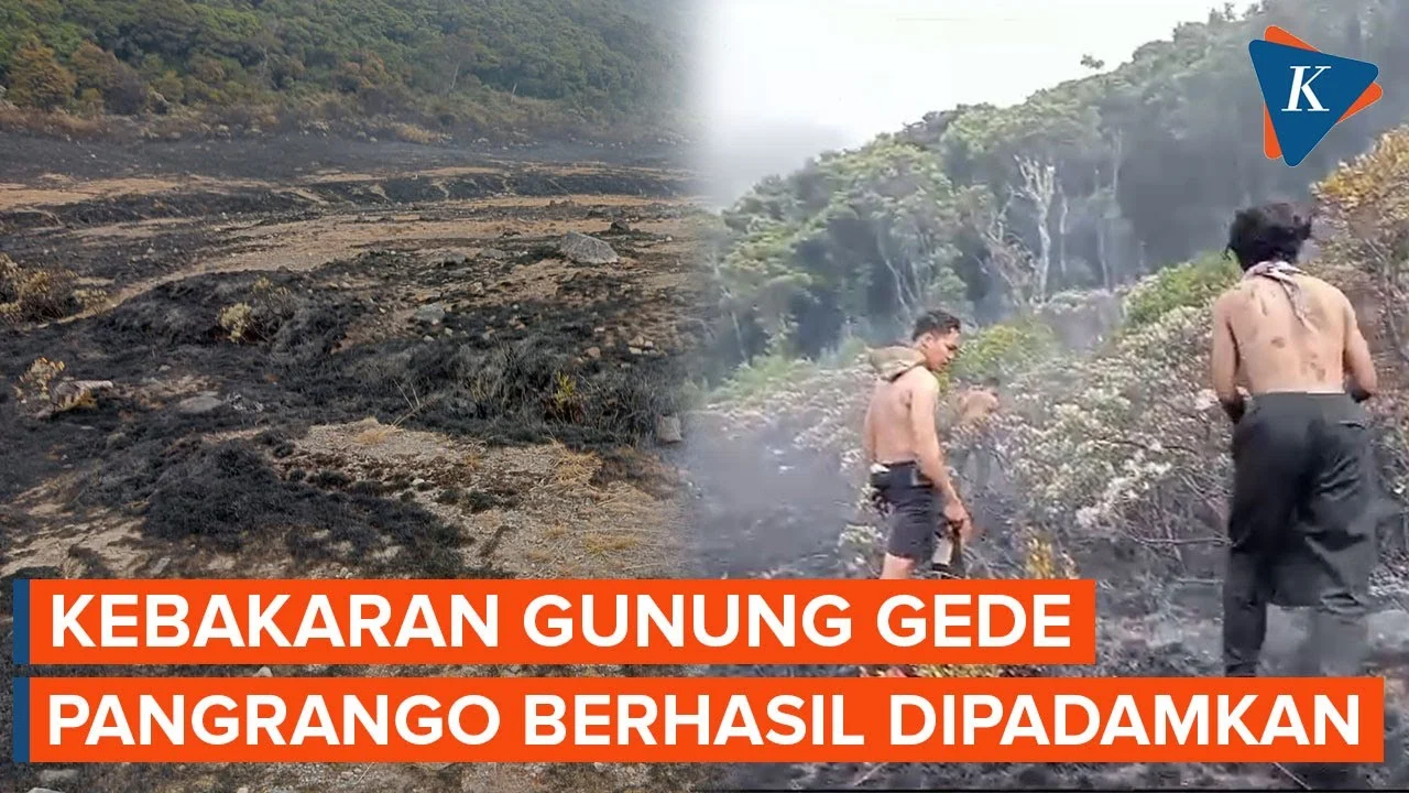 Kebakaran Gunung Gede Pangrango Dipadamkan, Pendakian Ditutup Sementara