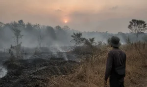 Kebocoran Gas dan Kebakaran: Ancaman yang Mengintai di Musim Kemarau
