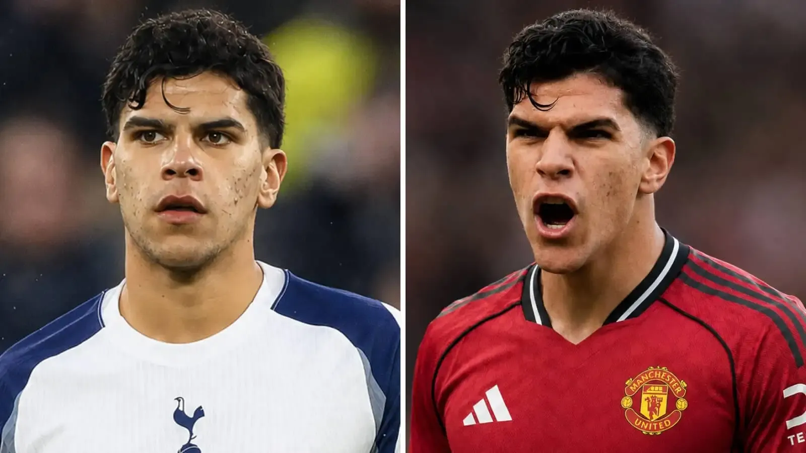Mateus Fernandes Siap Menghadapi Tantangan di Tottenham Hotspur